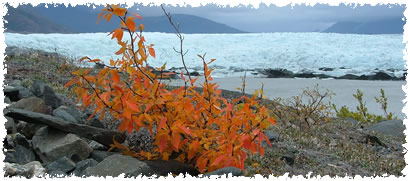 In the northern frontier, life is different